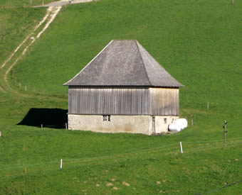 breitescheuer neu